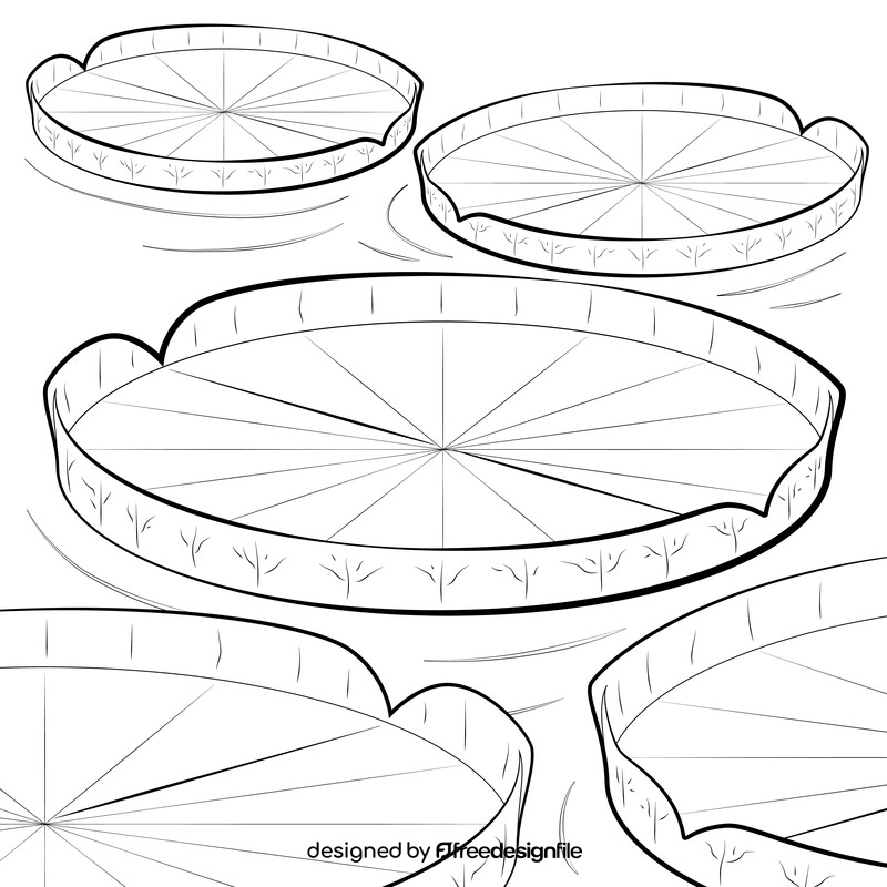 Lily pad drawing black and white vector