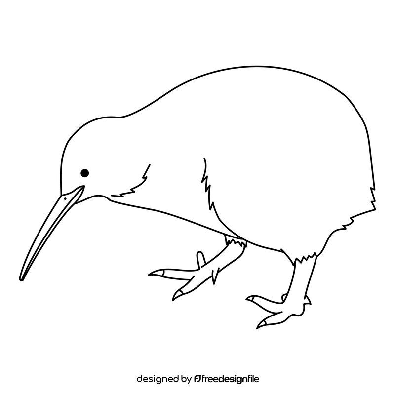 Kiwi bird black and white clipart