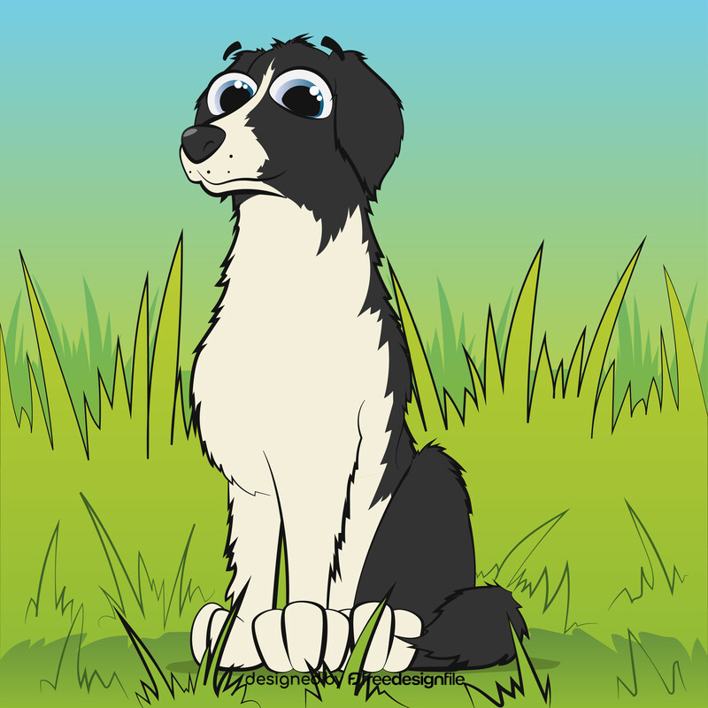 Border collie dog vector