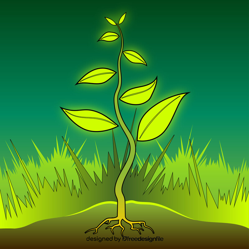 Plants drawing vector