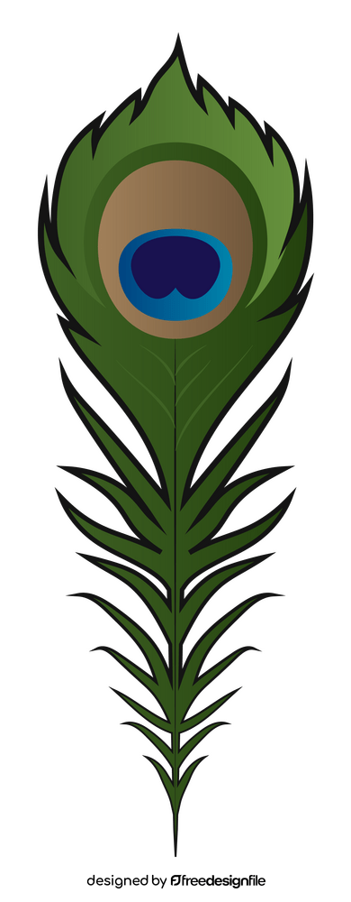 Peacock feather clipart