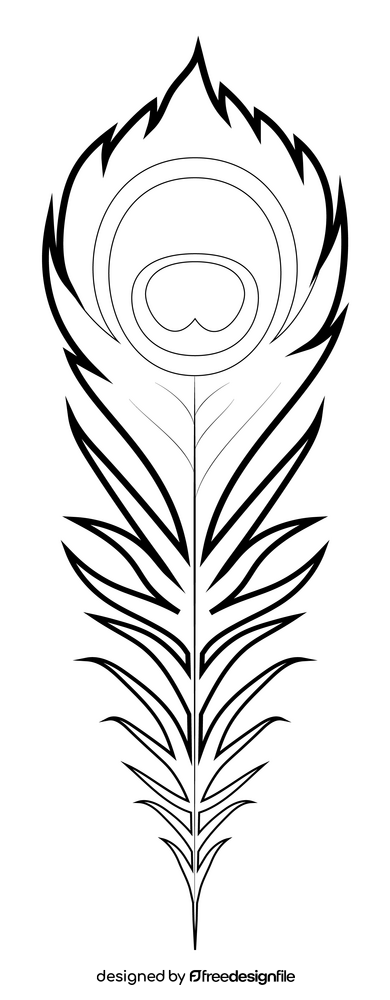 Peacock feather drawing black and white clipart