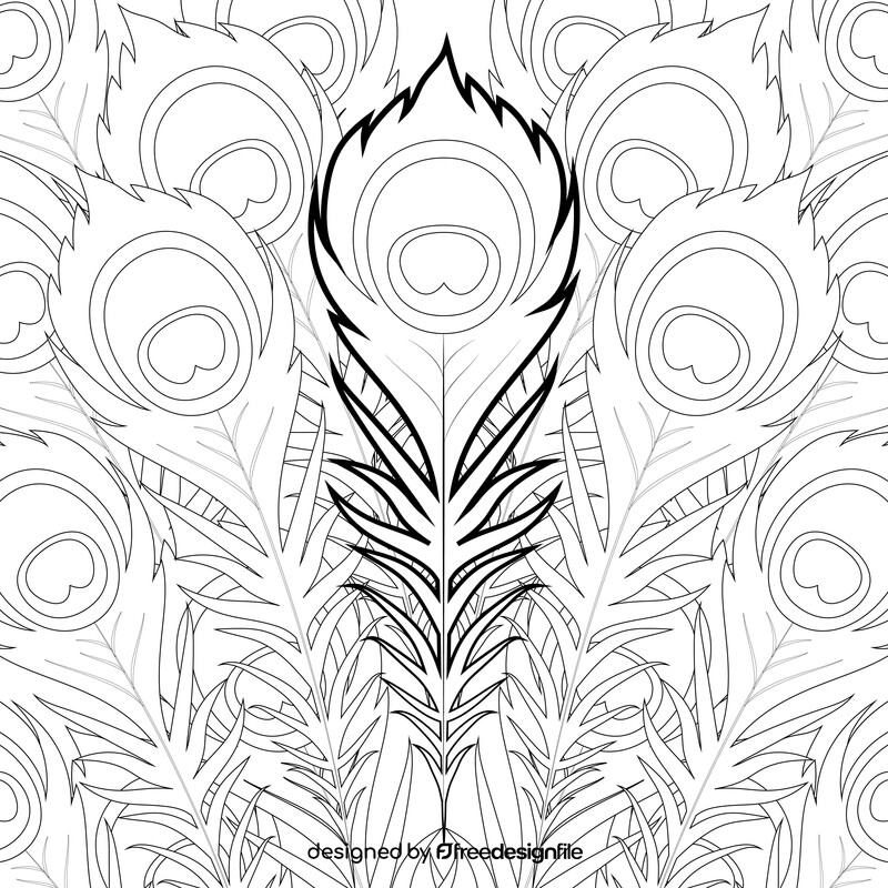 Peacock feather drawing black and white vector