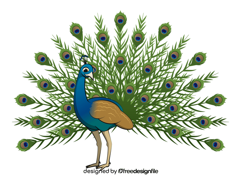 Peacock clipart