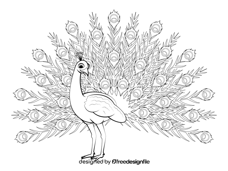 Peacock drawing black and white clipart