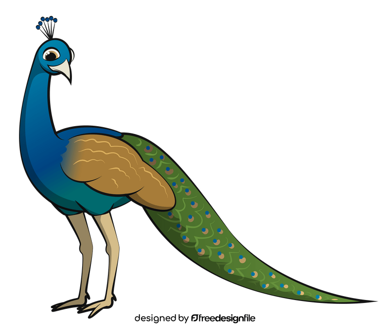 Peacock clipart