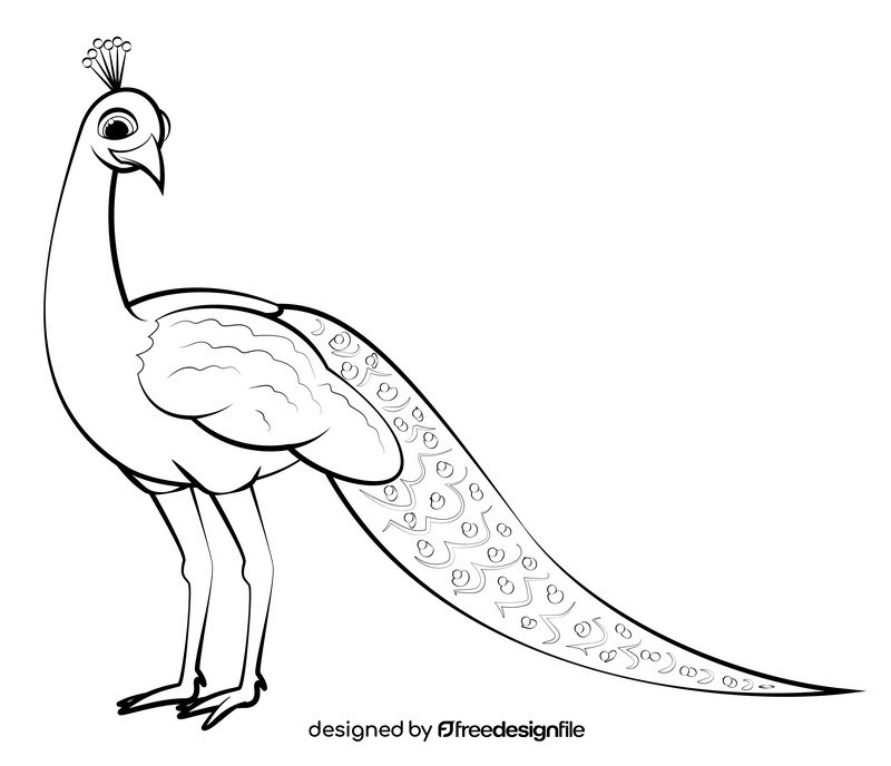 Peacock drawing black and white clipart