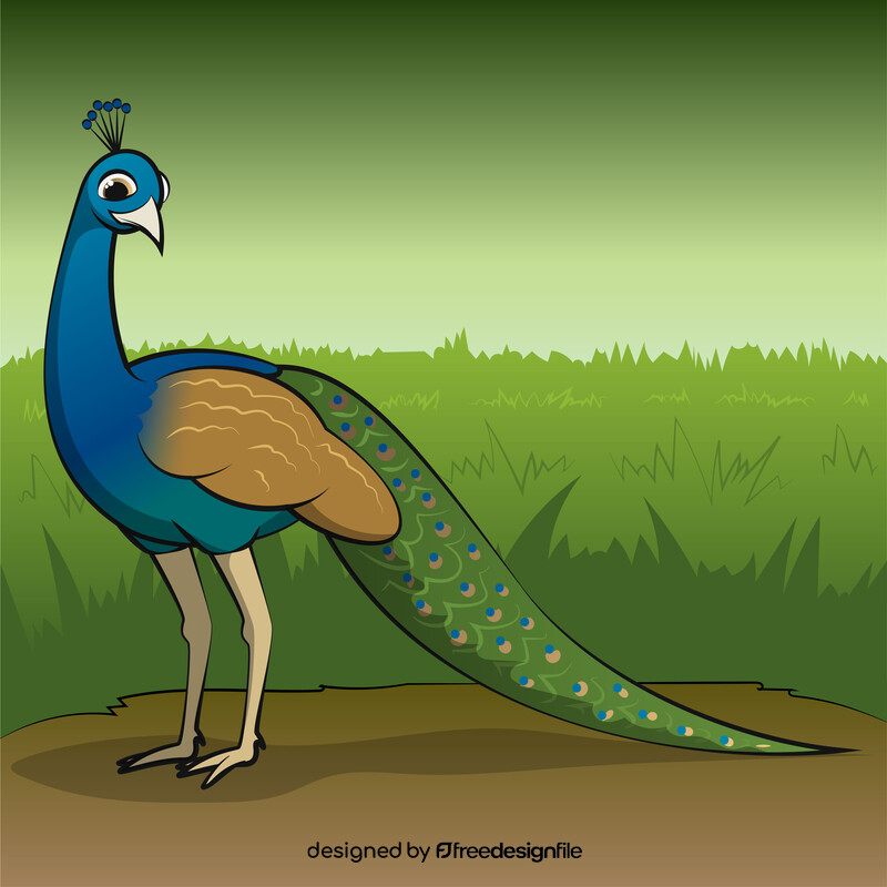 Peacock vector