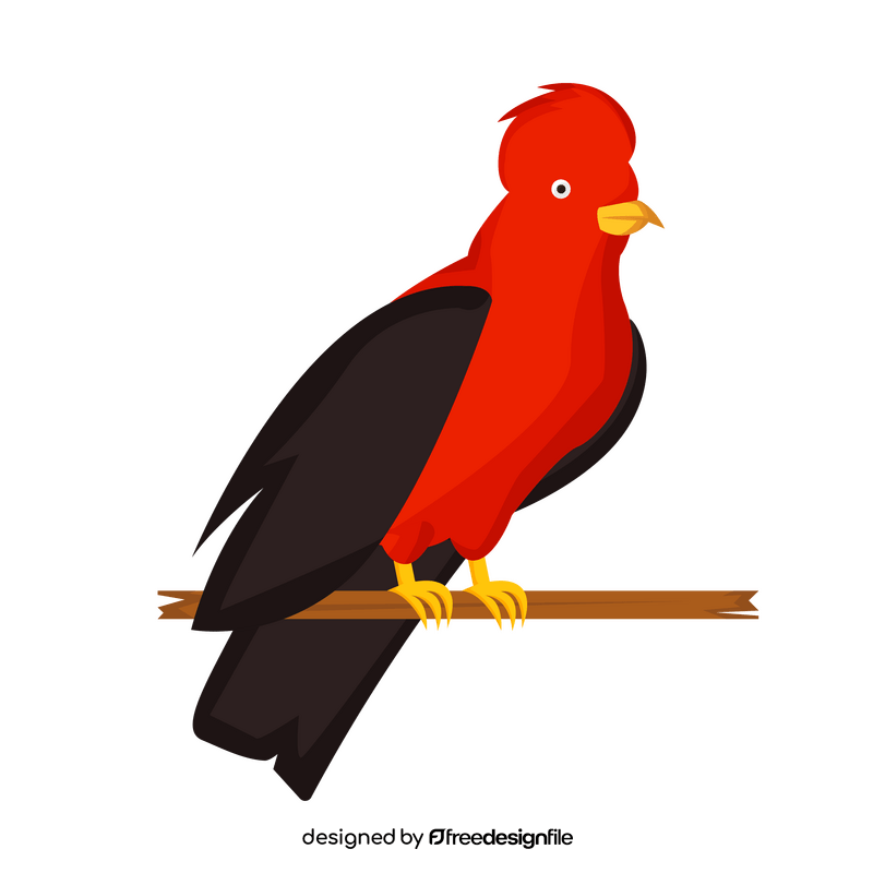 Andean cock of the rock clipart