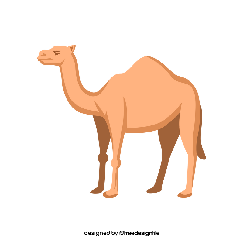 Camel clipart