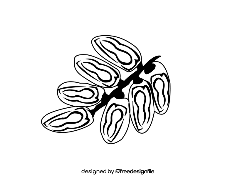 Dates fruit black and white clipart