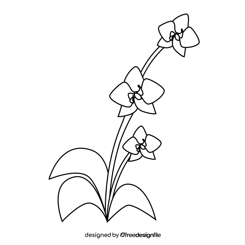 Singapore orchid black and white clipart