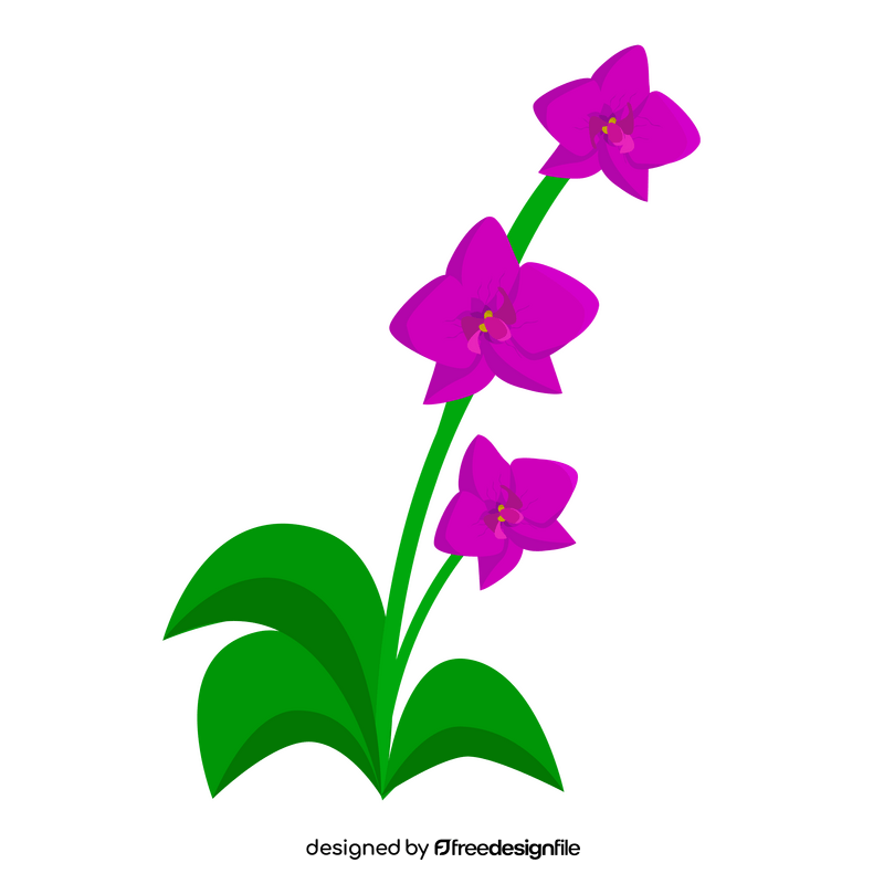 Singapore orchid clipart