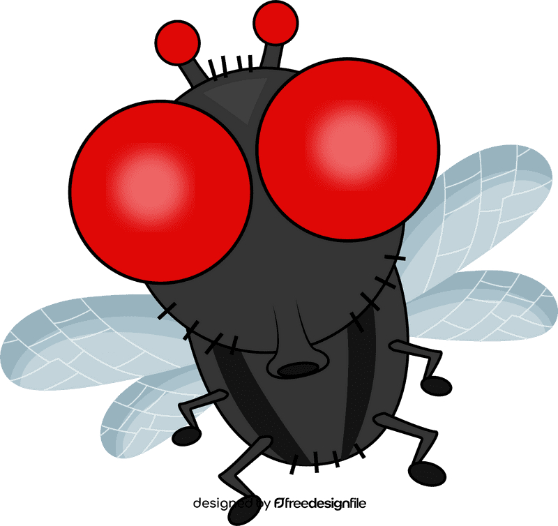 House Fly clipart