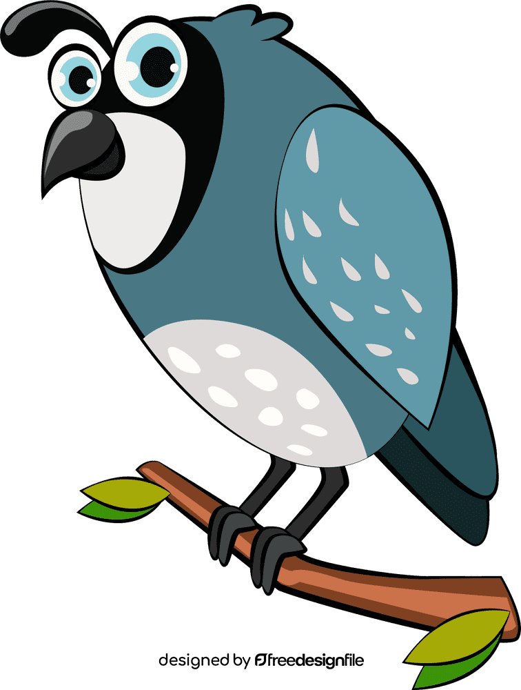 Funny Quail clipart