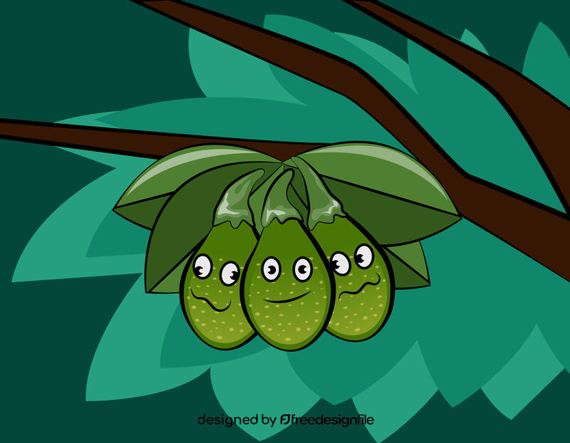 Funny bay laurel fruit vector