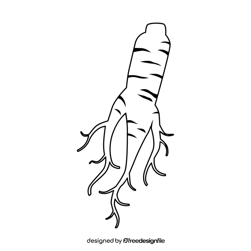 Ginseng black and white clipart