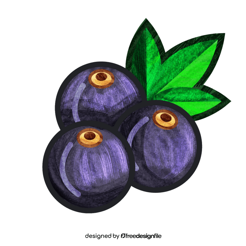 Blackberries clipart