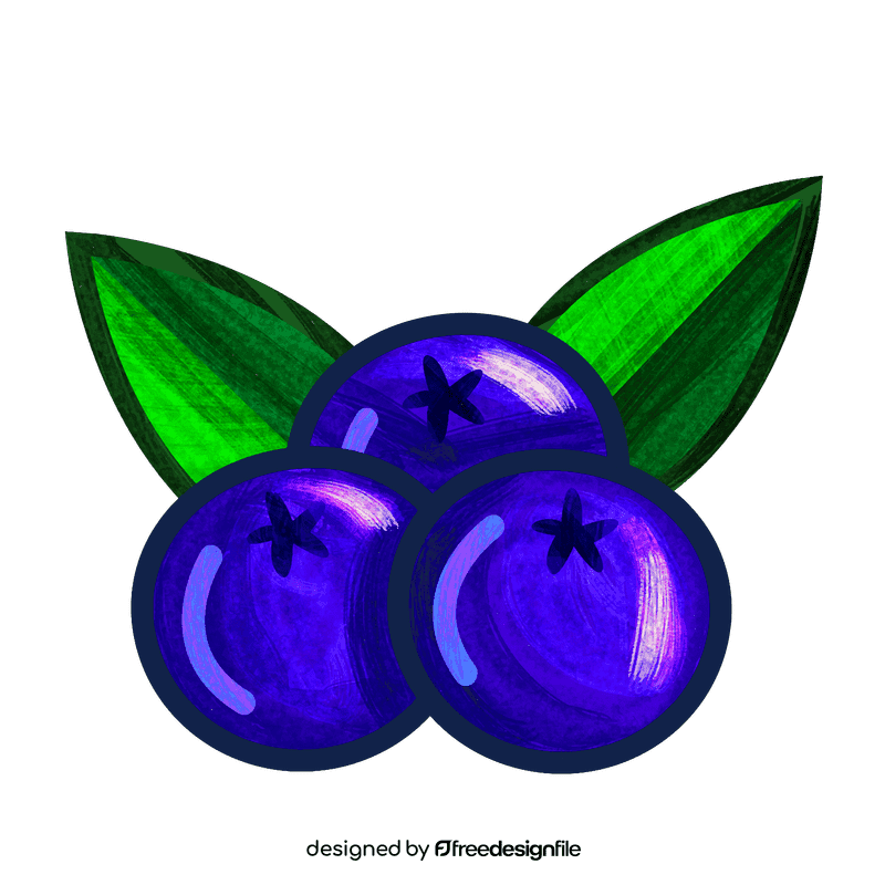 Blueberries clipart