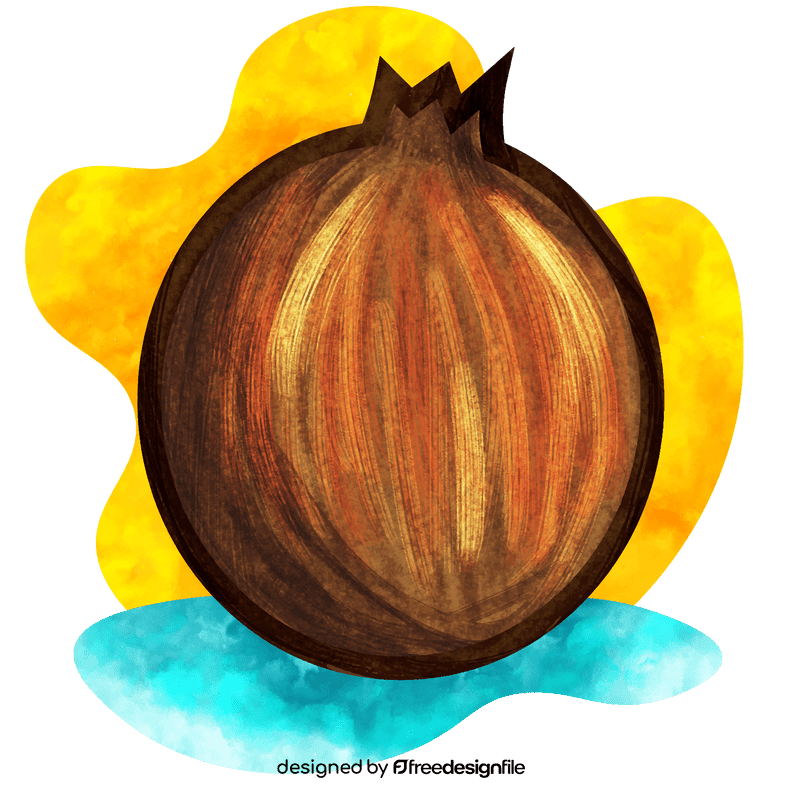 Coconut vector