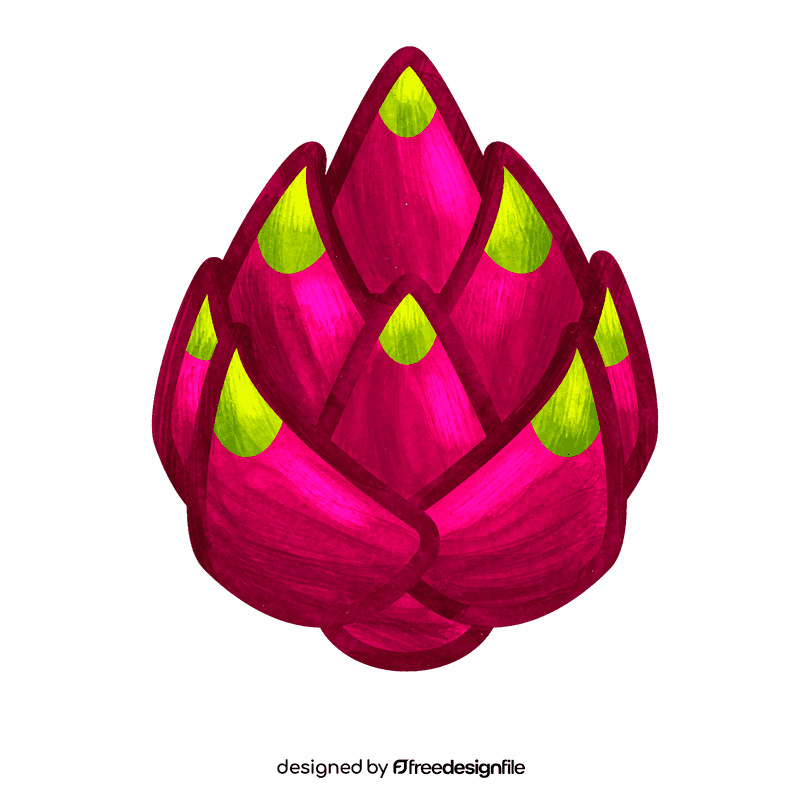 Dragonfruit clipart