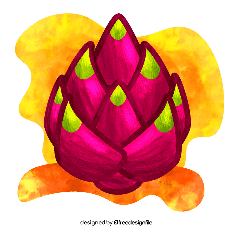 Dragonfruit vector