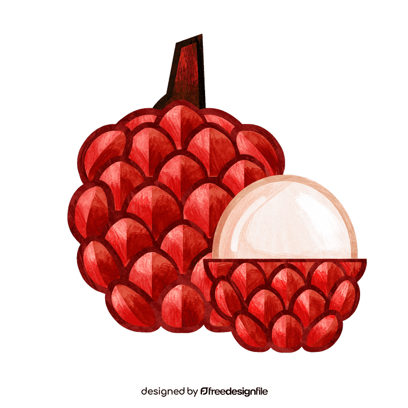 Lychee clipart