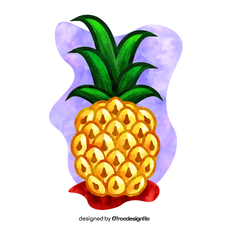 Pineapple vector