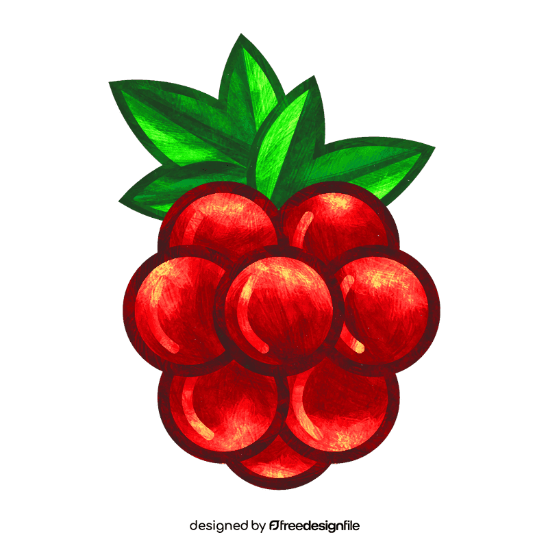 Raspberry clipart