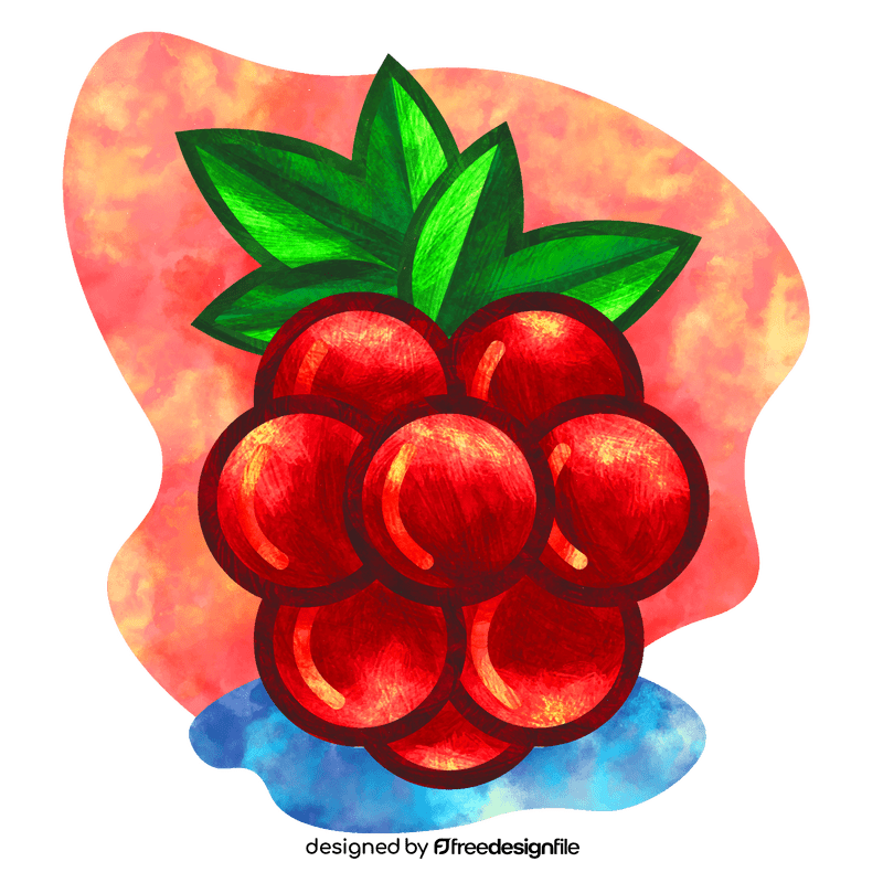 Raspberry vector