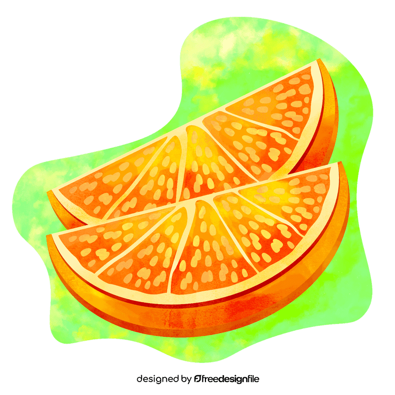 Orange slices vector