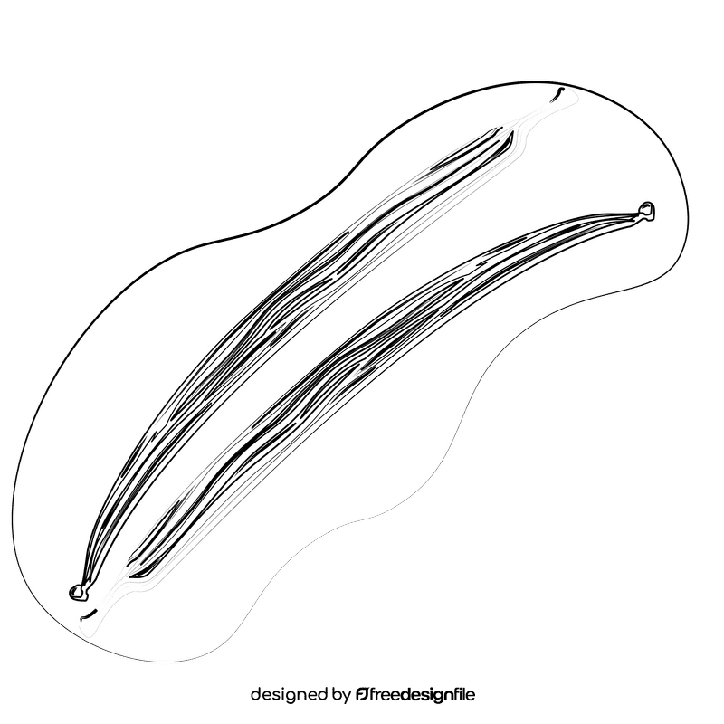 Vanilla pod black and white clipart