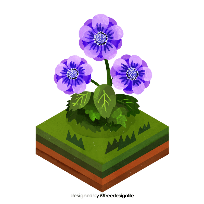 Anemone flower clipart