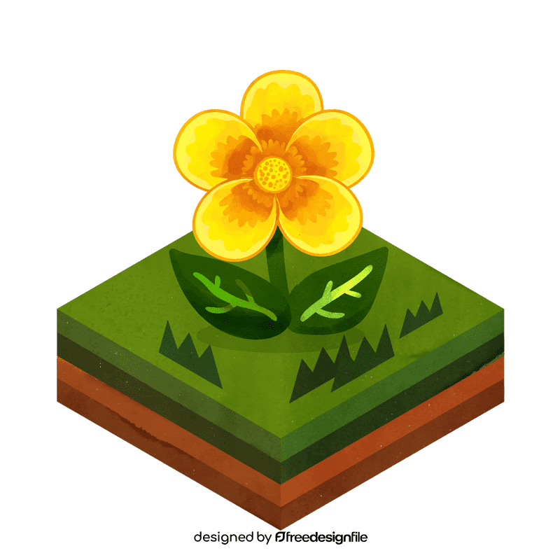 Buttercup flower clipart