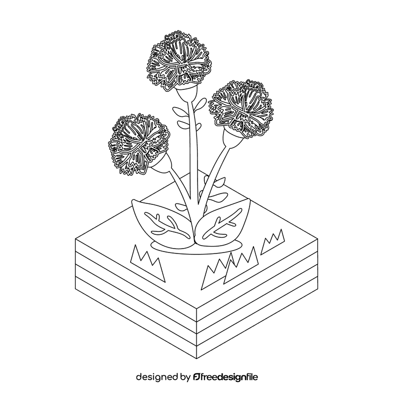 Carnation flower black and white clipart