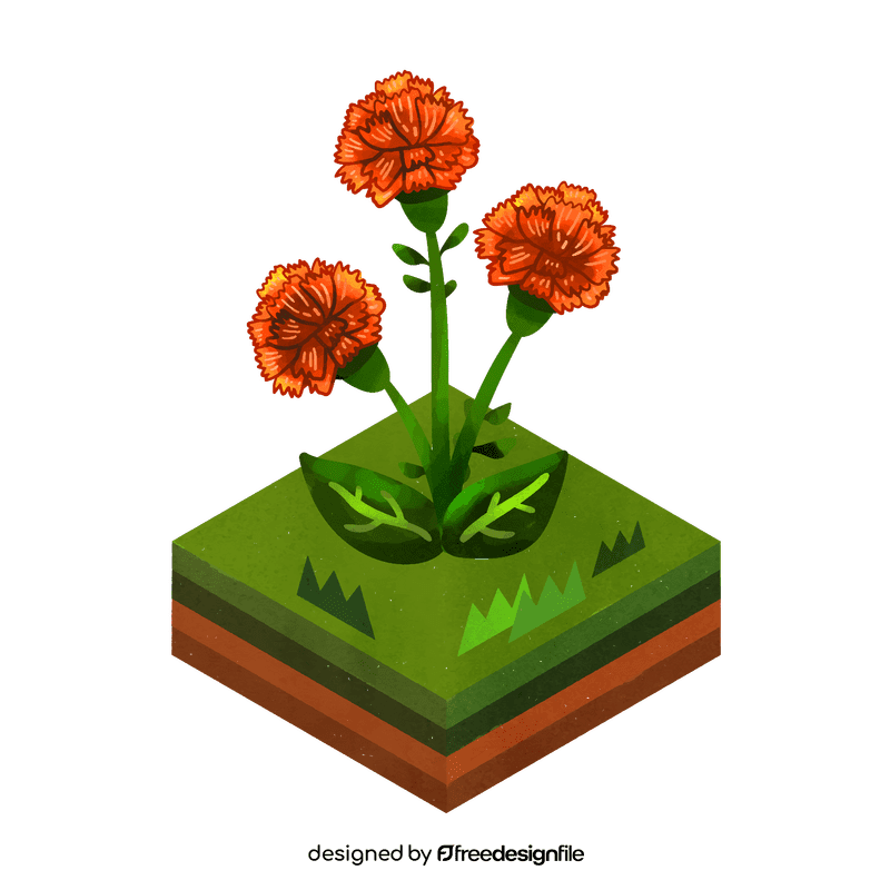 Carnation flower clipart