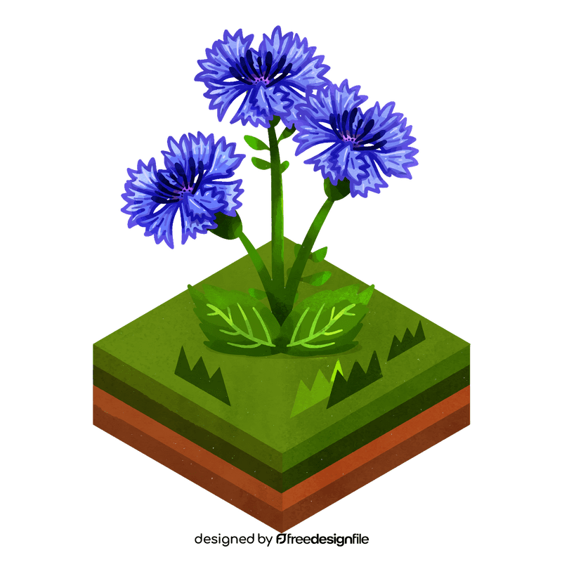 Corn flower clipart