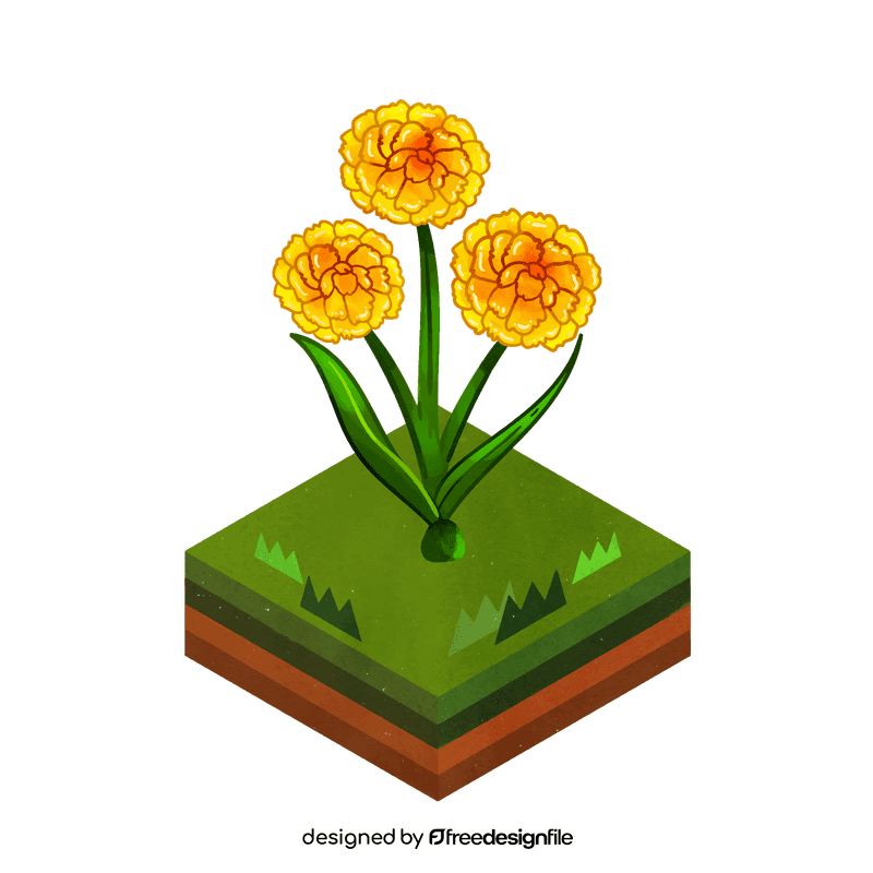 Craspedia flower clipart