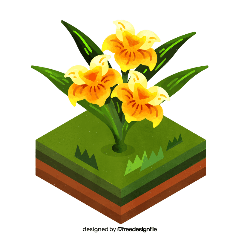 Daffodil flower clipart