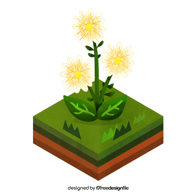 Daisy flower clipart