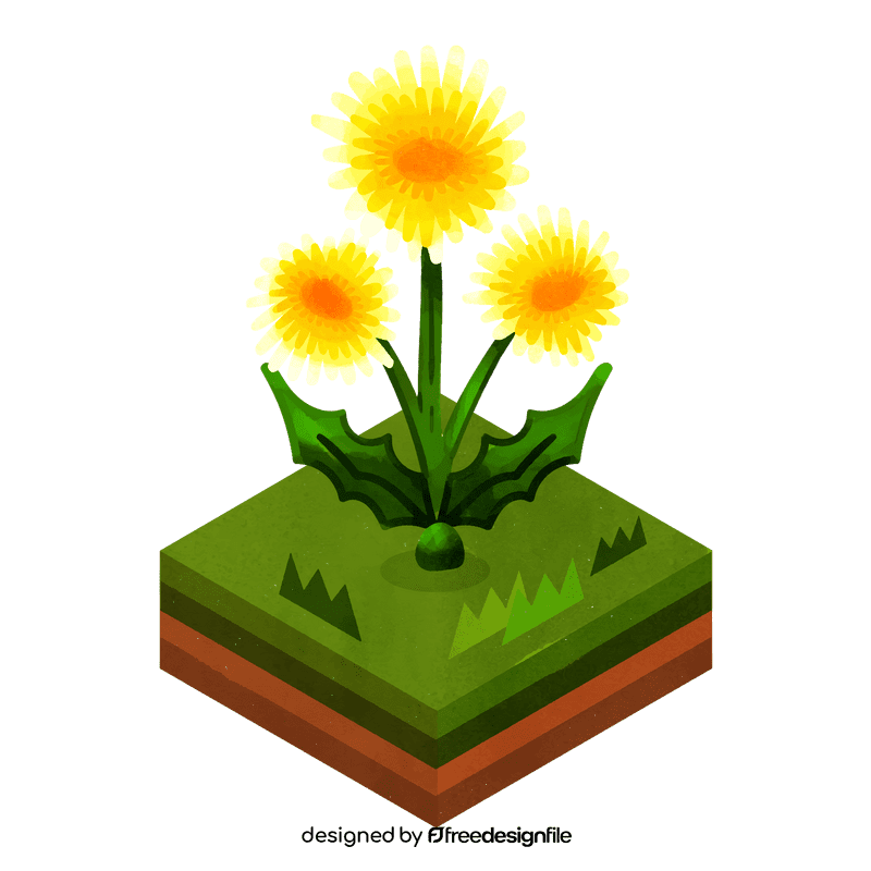 Dandelion flower clipart