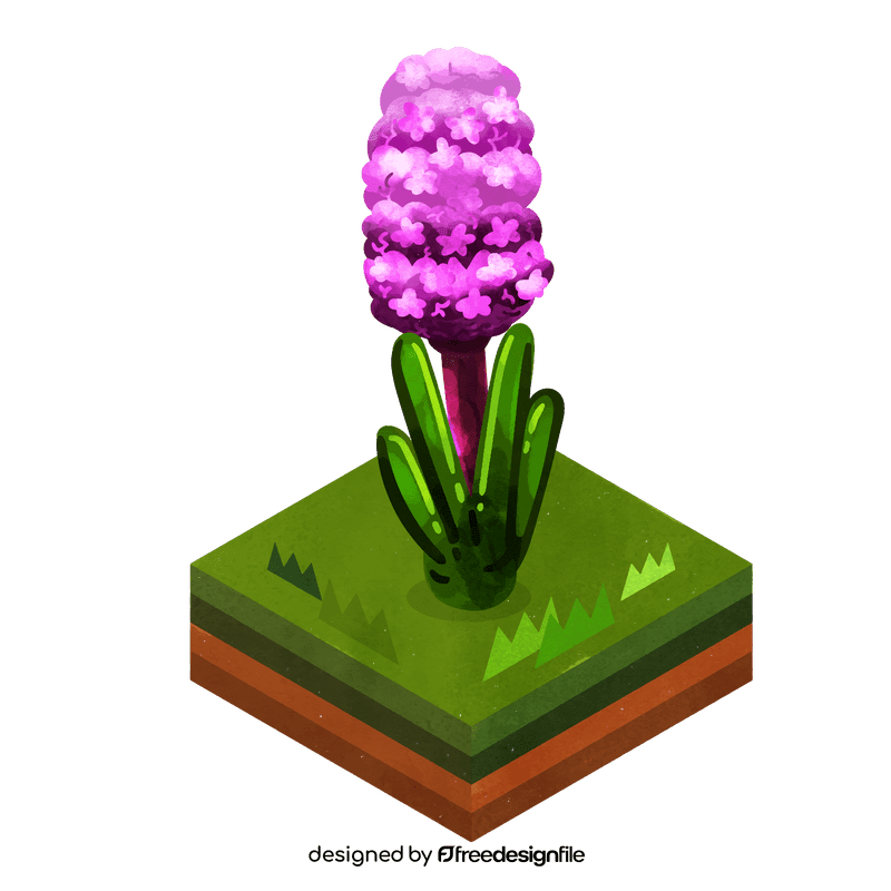 Hyacinth flower clipart