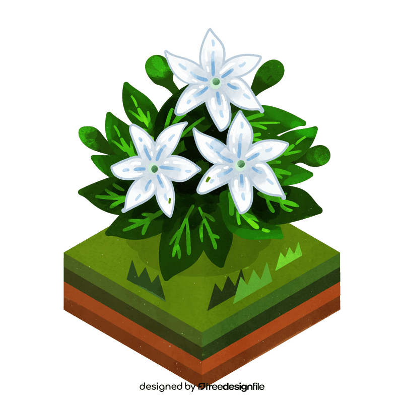 Jasmine flower clipart