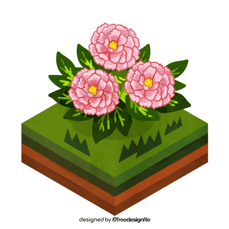 Peony flower clipart