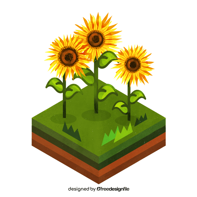 Sunflower flower clipart