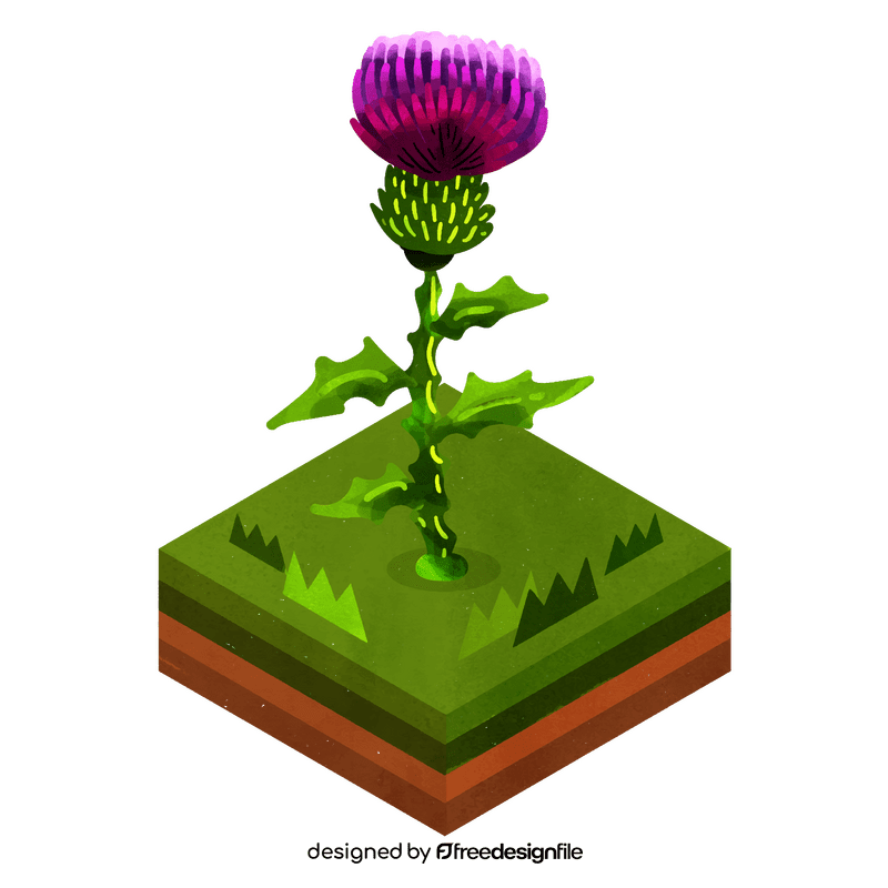 Thistle flower clipart