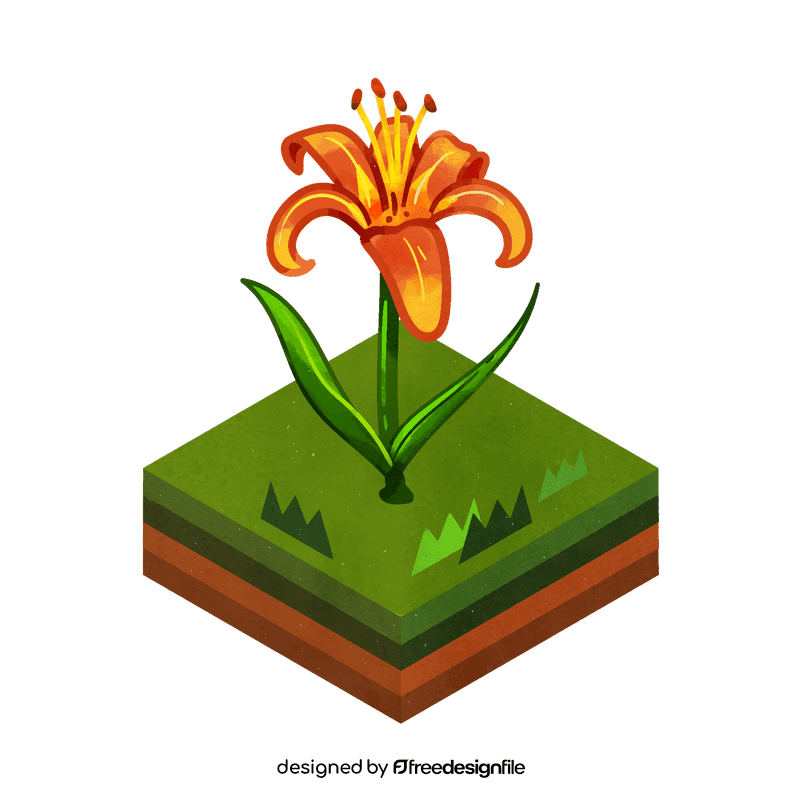 Tiger lily flower clipart