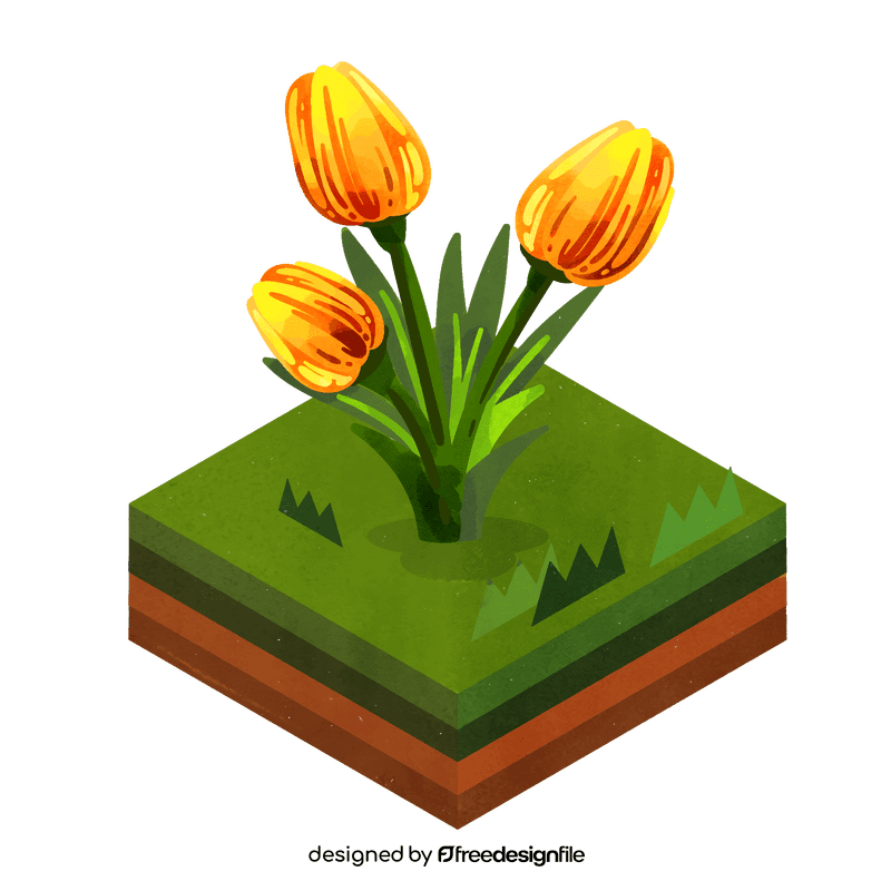 Tulips flower clipart