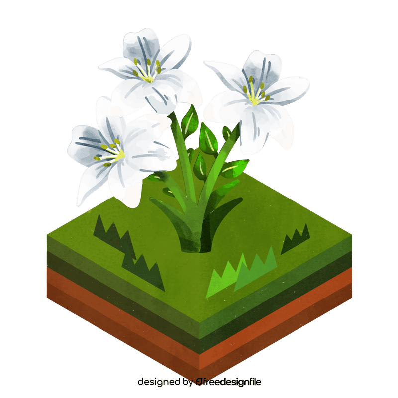 White lily flower clipart