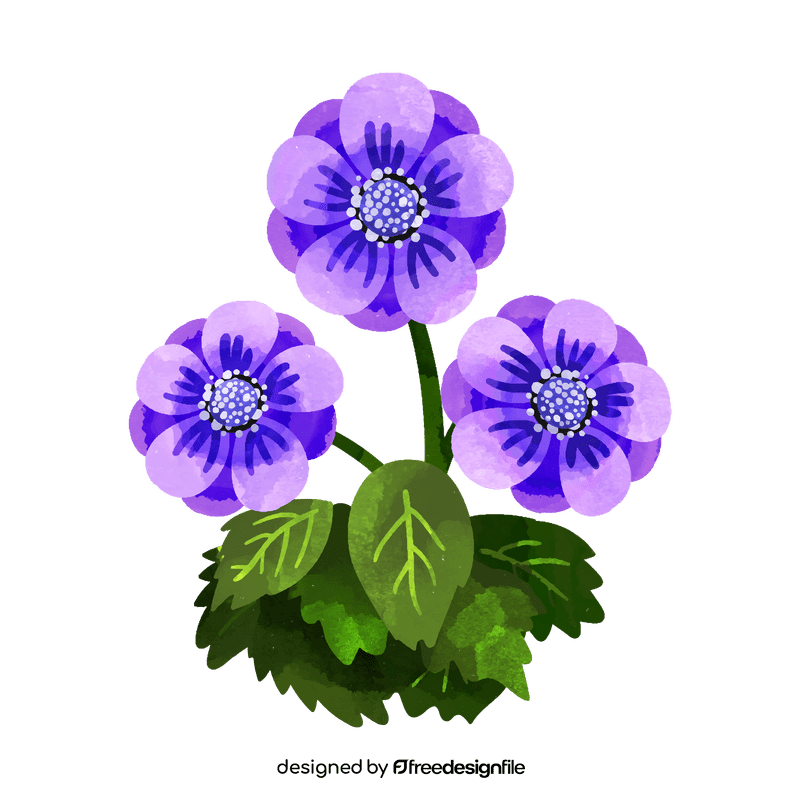 Anemone flower clipart